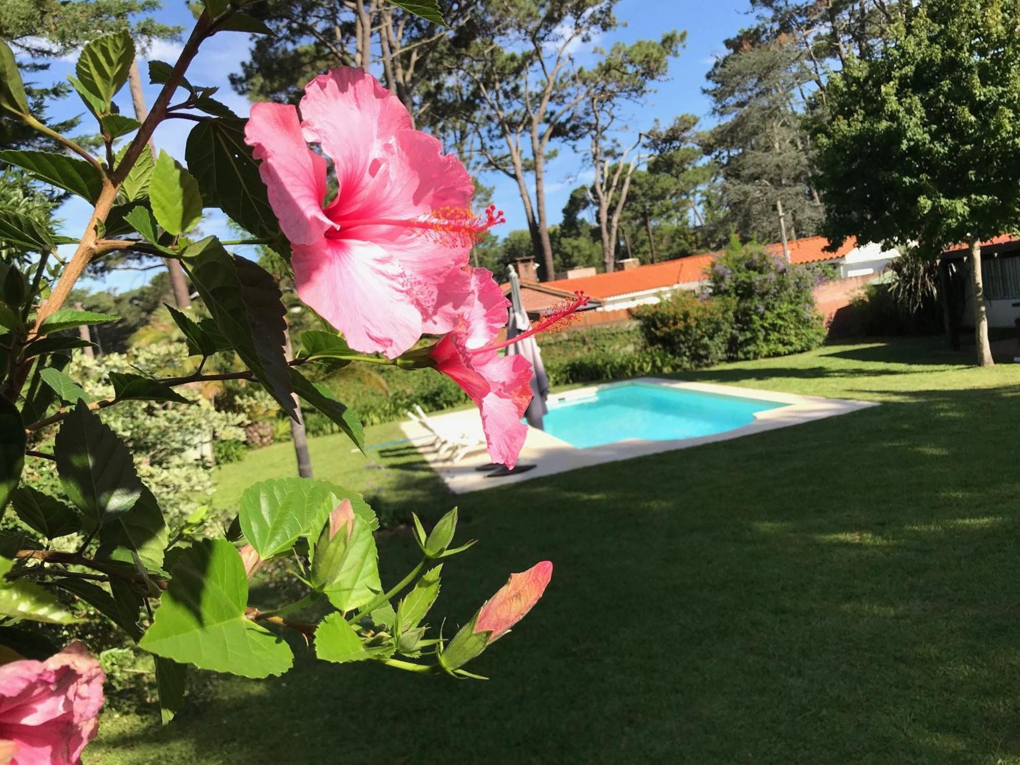El Gauchito Punta del Este Exterior photo
